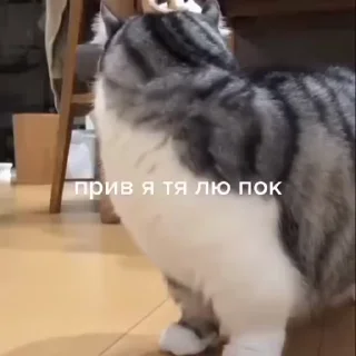 🥰