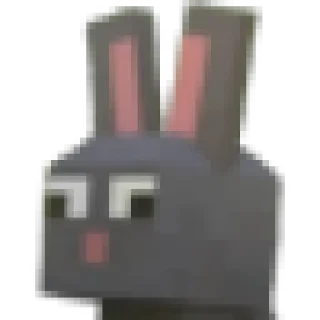 🐇