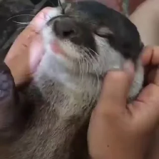 💆