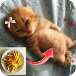 🍟