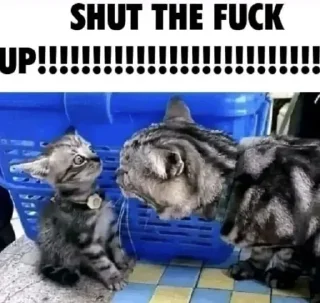 😾