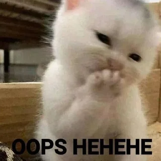 🙊