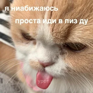 😝