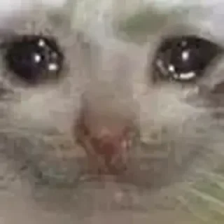 😢