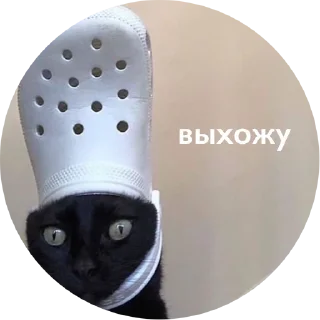 💃