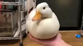 😨