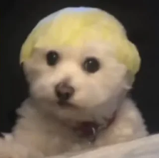😭