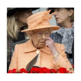 👃