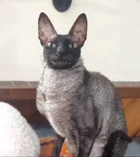 🙂