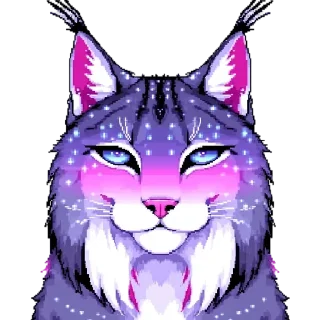 🐱