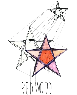 ⭐️