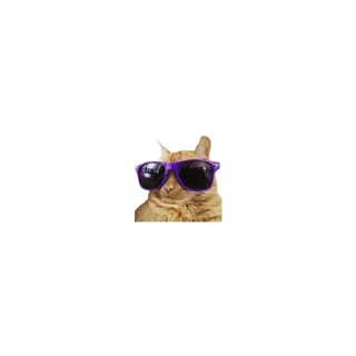 😎