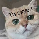 😠