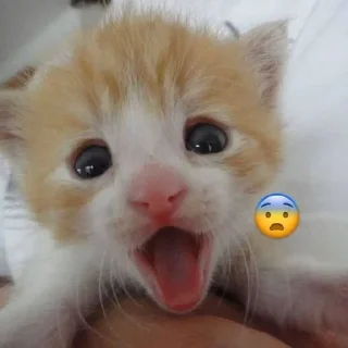 😨