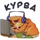 💻
