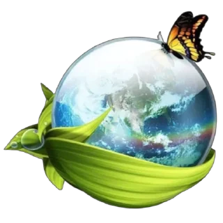 🌍