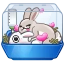 🐰