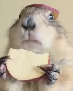 😋