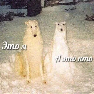 😳
