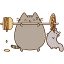 🐱