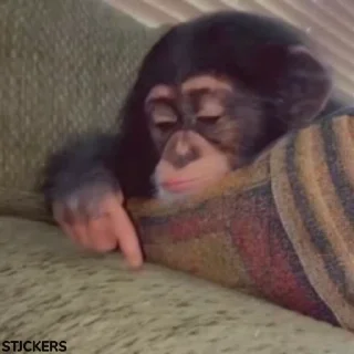 🥺
