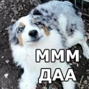😏