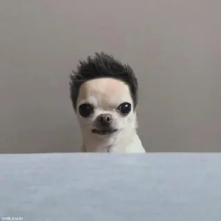 😱