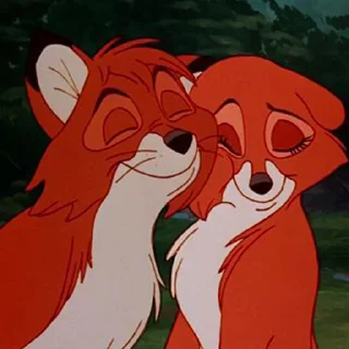 cute foxes @hehbaldezh