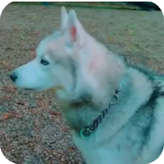 👍