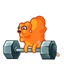 🏋️‍♂️