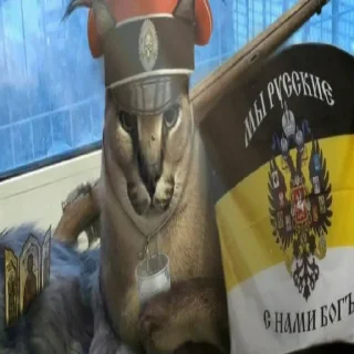 Белый пак