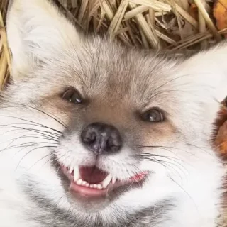 🙂