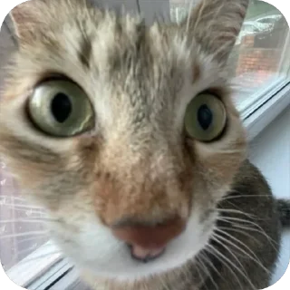 🤨