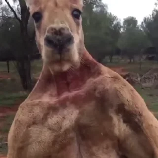 😁