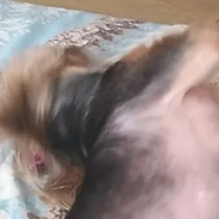 😁