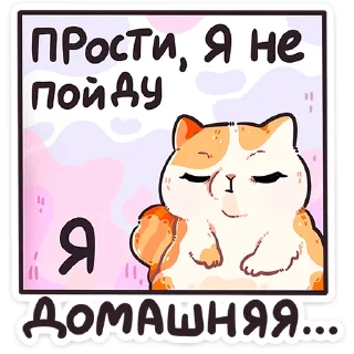 🐱