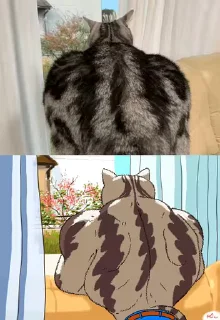 💪