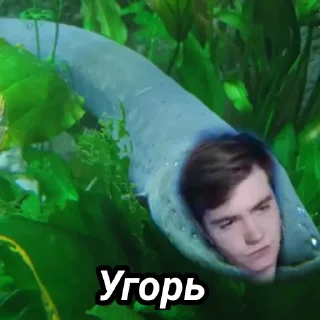 🐠