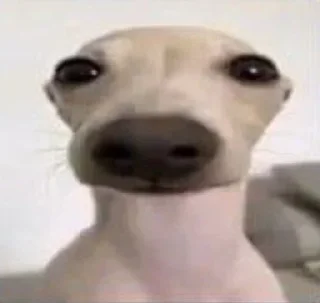 🥺