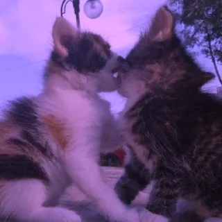 💜