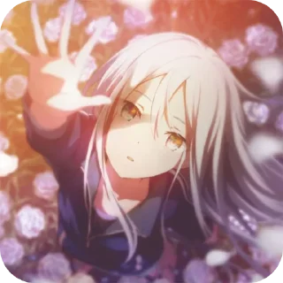 ⭐