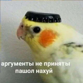 🖕