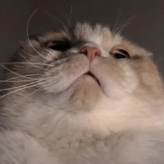 😲
