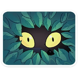 👀