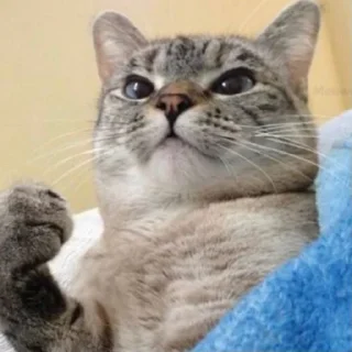 😠