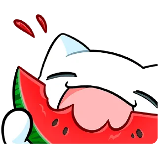 🍉
