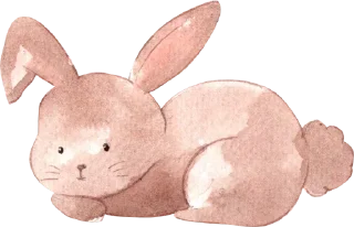🐰