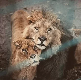 😙