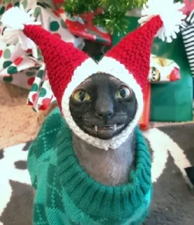 😁