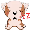 😴